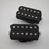 Dirty Harry Humbucker Set with Matte Black tops