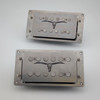 Big Bottom '72 Wider Range Humbucker Set with Raw Finish Faceplate w/ Skull