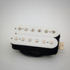 Genuine Texas with White Gloss top