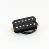 Genuine Texas with Black Gloss top