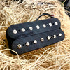BBQ Bucker 7-String