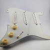 Lucky Punk Strat Set