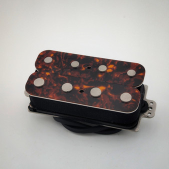 Pitbull Hybrid with Tortoiseshell top