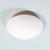 In stock! Discount Nemo Janeiro Ceiling or Wall Light 8.5 inch LED