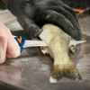 HAVALON Talon Fish Quick Change II Stainless Blade Knife with Zytel Handle (XTCTF)
