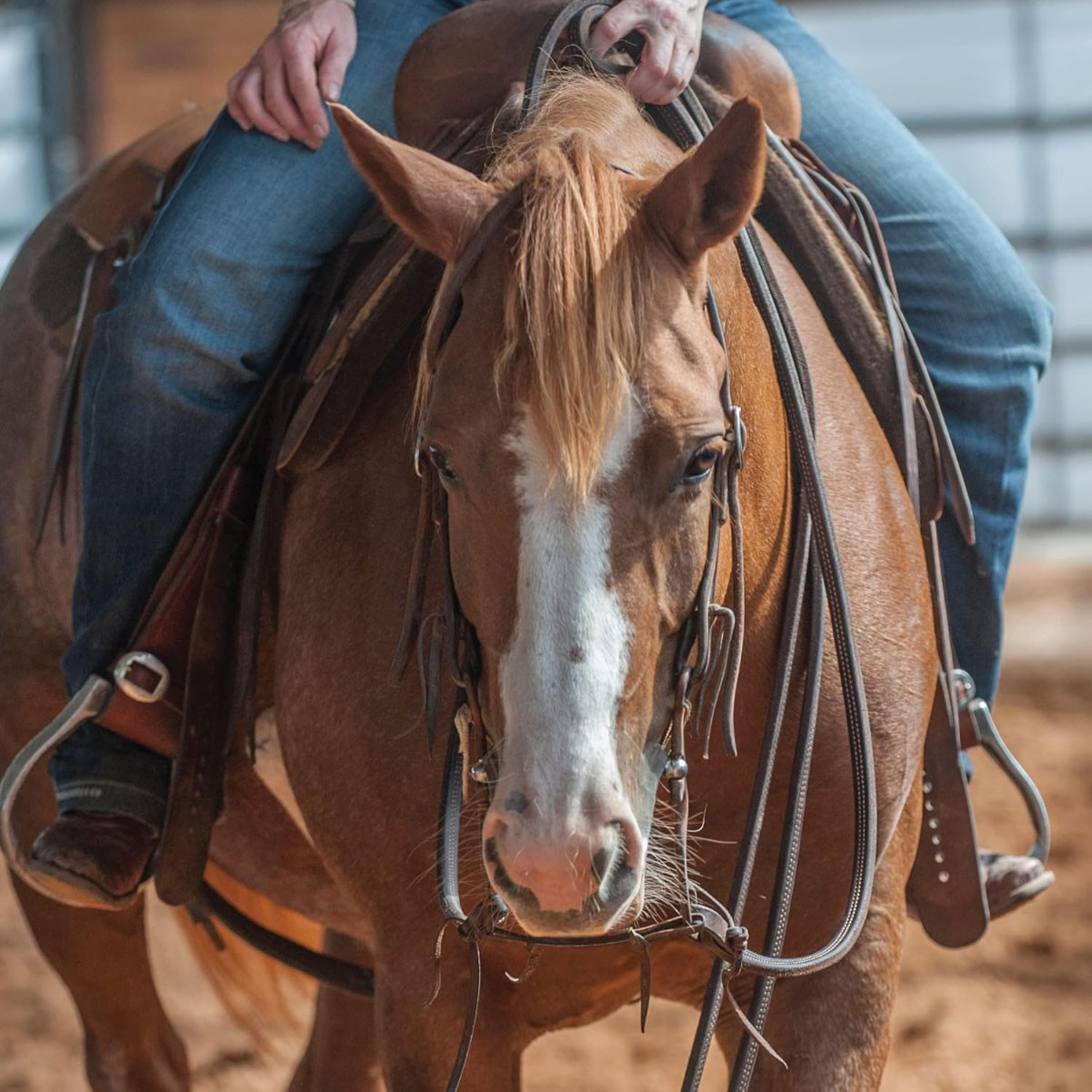 Martin Saddlery Latigo Split Reins - Thumbnail 3