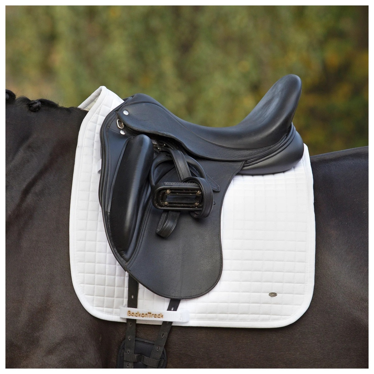 Back on Track Tapis Dressage Night Collection