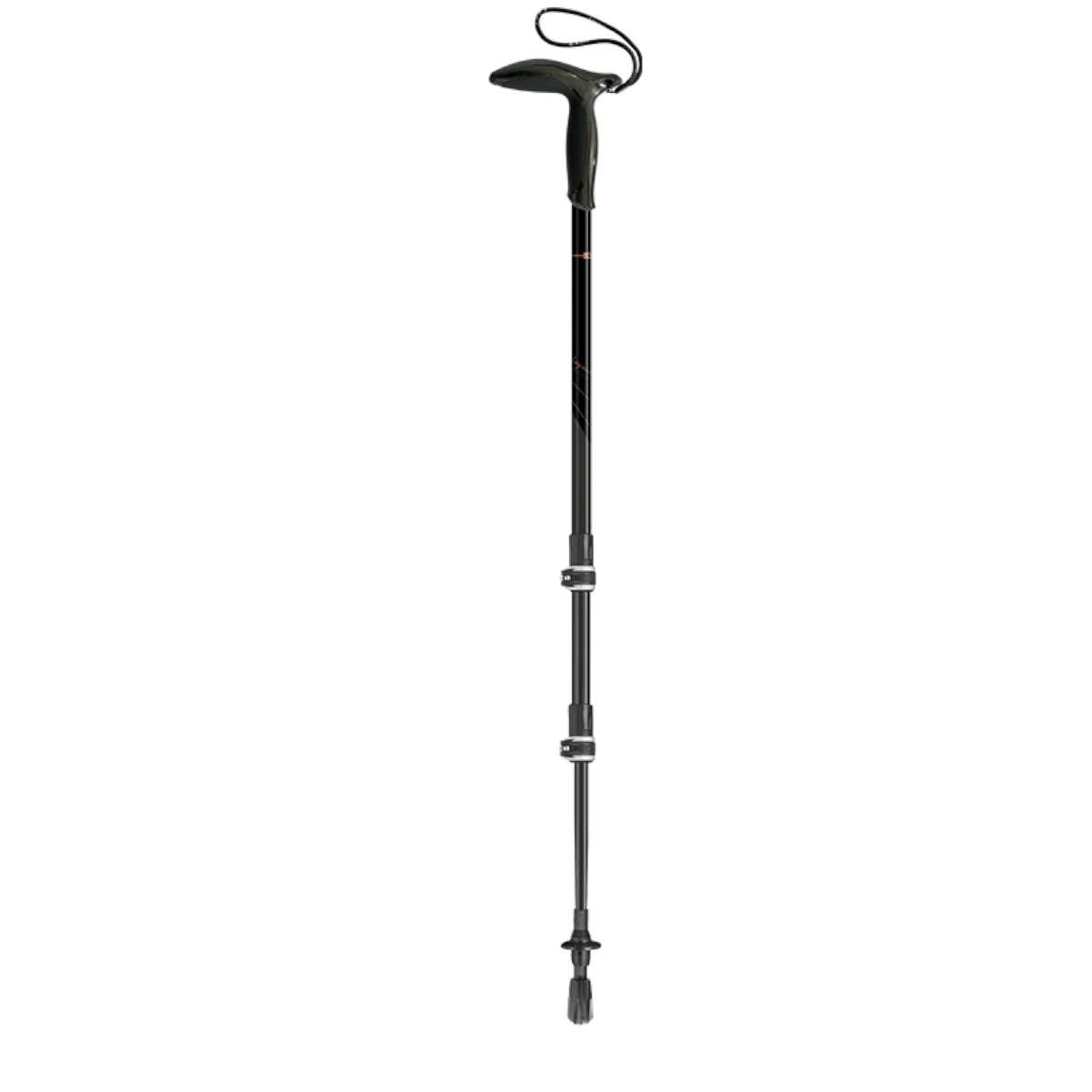 Leki Legend Carbon