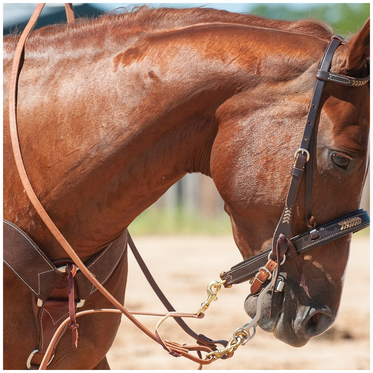 Martin Saddlery Walt Woodard Roping Rein - Thumbnail 5