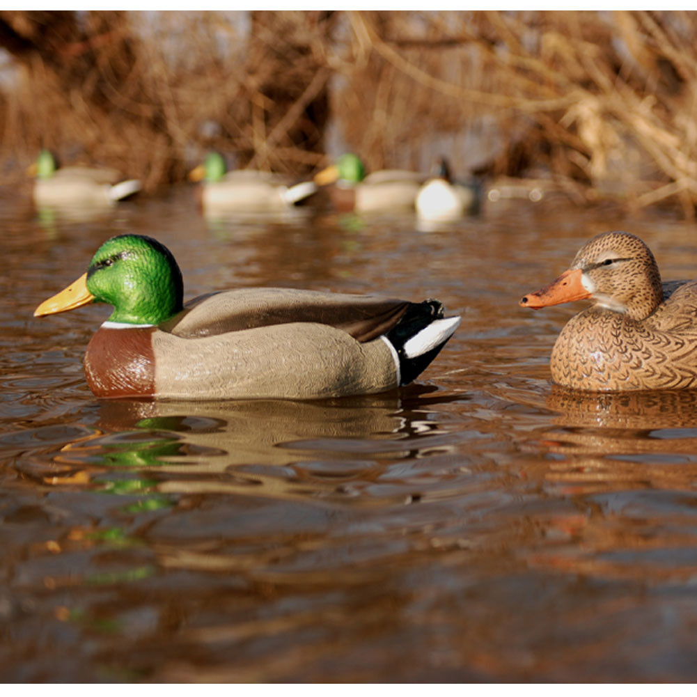 Avery GHG Essential Series Mallard Decoys - Thumbnail 3