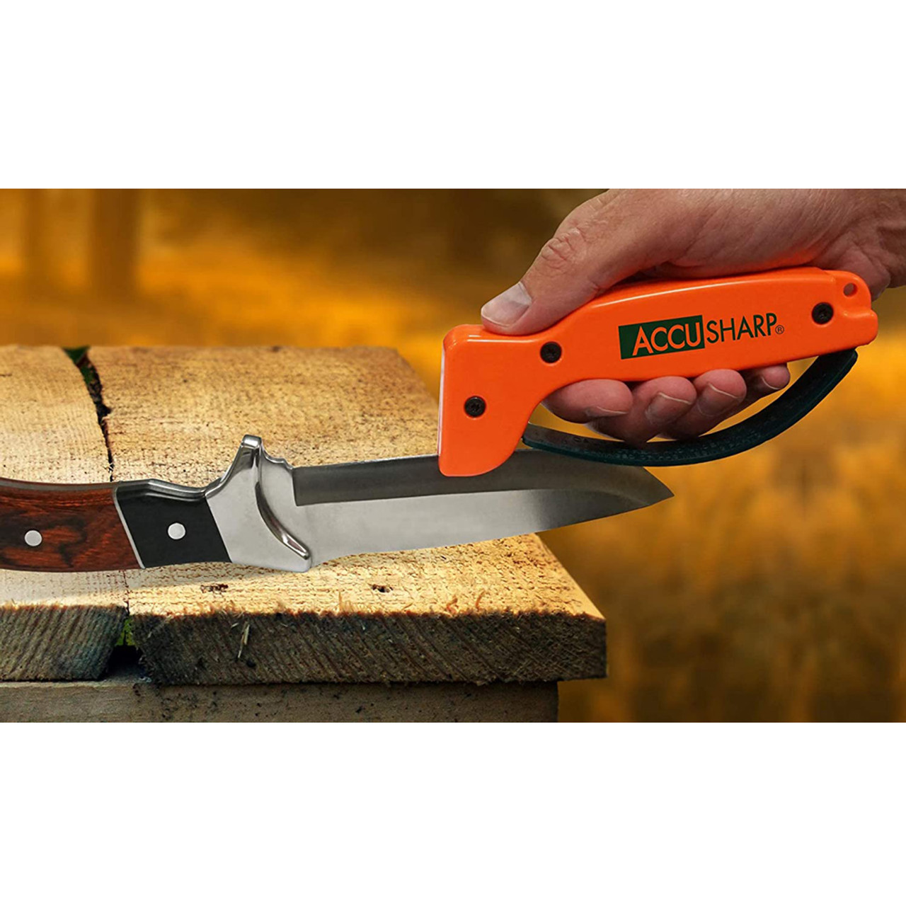 AccuSharp Knife and Tool Sharpener, Orange Handle - 014C