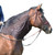 CASHEL Quiet Ride Hood (QR-HD)