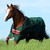 HORSEWARE IRELAND Rambo Original Green/Red Turnout Lite Blanket (AAAAA1-GR00)