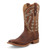TWISTED X Men's 12in Rancher Nutmeg/Peanut Western Boots (MRAL024) TWISTED X Men's 12in Rancher Nutmeg/Peanut Western Boots (MRAL024)