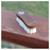 PROFESSIONAL'S CHOICE Tail Tamer Wood Series Small Goat Hair Face Brush (W425)