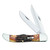 CASE XX Folding Hunter 6.5 BoneStag 2-Blade Pocket Knife with Leather Sheath (03574)
