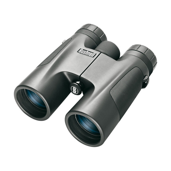 BURRIS Bino Droptine 10x42mm Binocular 300291
