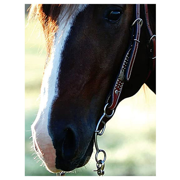 product variation CLASSIC EQUINE Carol Goostree Delight Shank Gag Barrel Bit with Chain (GTDBIT30) image