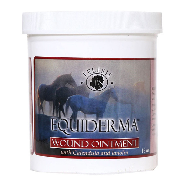 INTREPID INTERNATIONAL Equiderma 16oz Wound Ointment (TAH004)