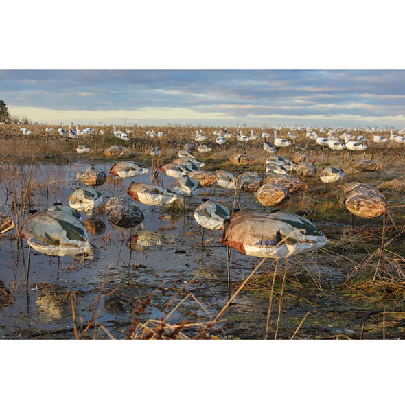 WHITE ROCK DECOYS Headless Mallard Windsock Decoys, 12-Pack (MD)