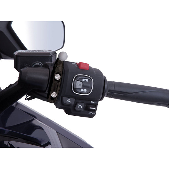 CIRO Goldstrike Black Drink Holder with Black Perch Mount for Gold Wing (58619)