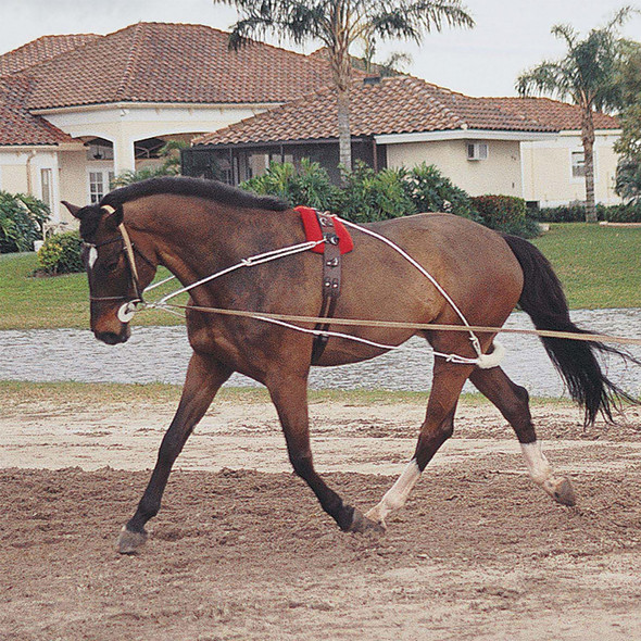 PESSOA Lunging System For Horse/Pony