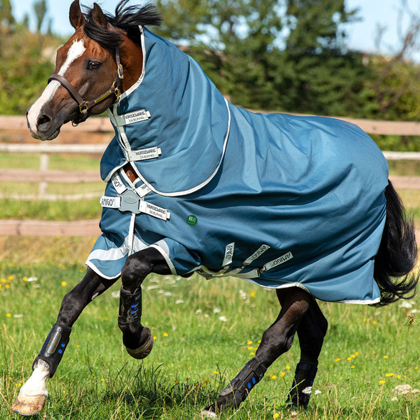 product variation HORSEWARE IRELAND AmEco 1200D Plus 0g Teal/Gray Turnout Blanket (AAROJ0-CTJ0) image