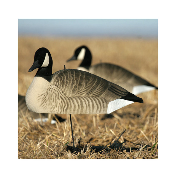 product variation AVERY GHG Universal Motion Stakes, 12-Pack (71190) image