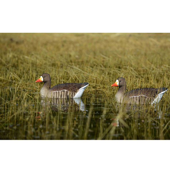 product variation Avery GHG Pro-Grade FFD Elite specklebelly goose floater decoys, Active 4 pack image