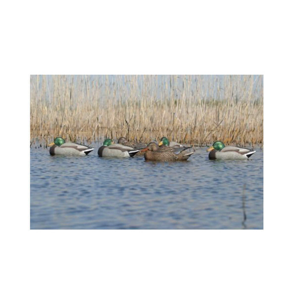 product variation AVERY GHG Pro-Grade Mallard Surface Feeder Decoys (73102) image