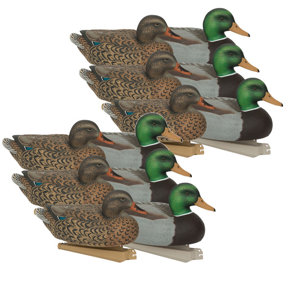 product variation AVERY Essential Series Mallards, 12-Pack (70010) image
