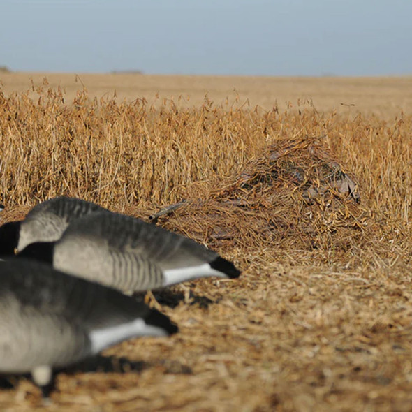 product variation Faided image