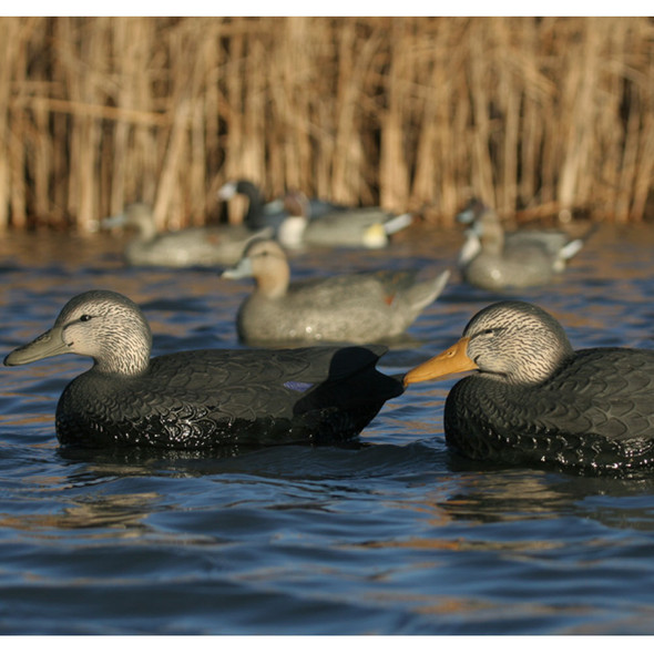 product variation AVERY GHG Hunter Series Over Size Black Duck Decoys (73015) image