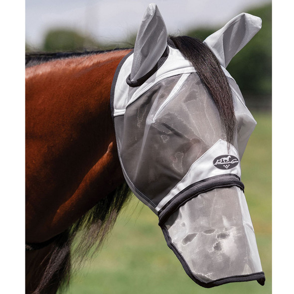 product variation Gray image
