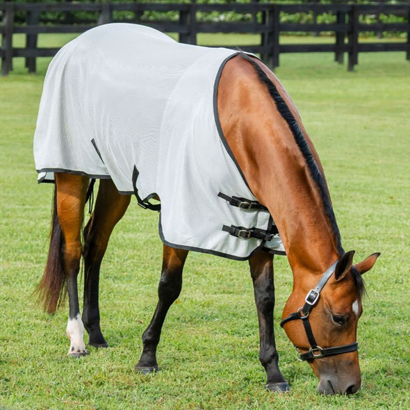 product variation HORSEWARE IRELAND Amigo Bug Rug Quarter Horse (No Hood) Silver/Black Fly Sheet (AFRNWQ-IK00) image
