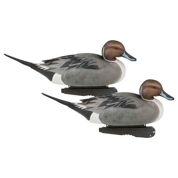 product variation AVERY Pro-Grade Pintail Decoys, 6-Pack (73131) image
