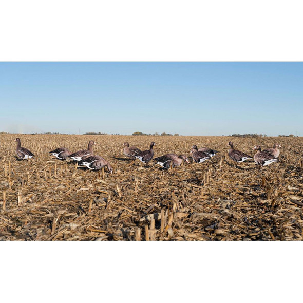 product variation AVERY Pro-Grade Specklebelly Silhouette Decoys (77008) image