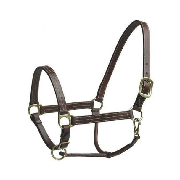 product variation CAMELOT Stable Halter Cob (464283BRN-COB) image