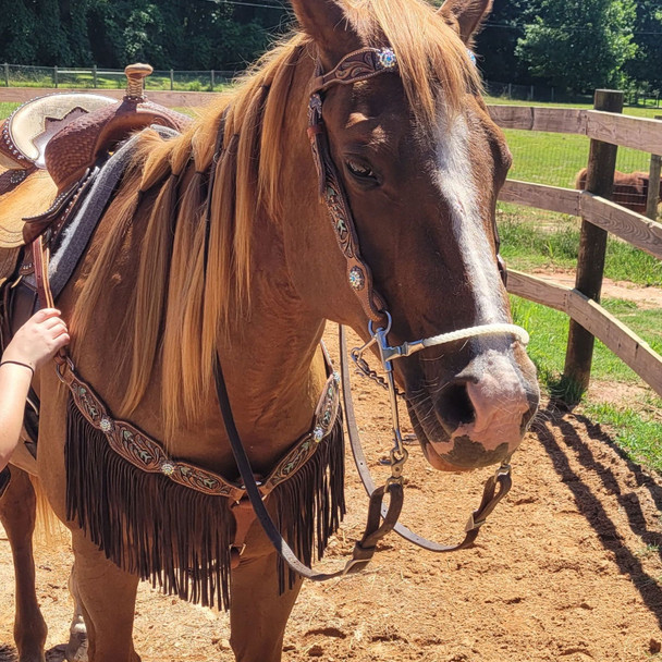 product variation CIRCLE Y Jim Warner Hackamore (935) image