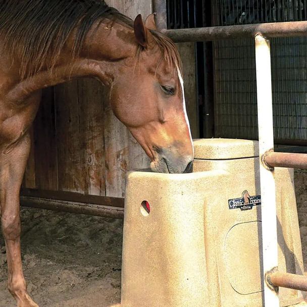 product variation CLASSIC EQUINE Auto Double Fount Automatic Waterer (FOUNTAUTO) image