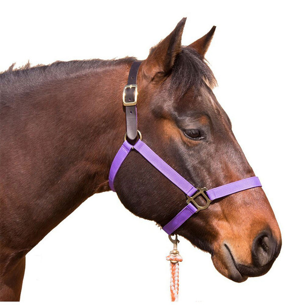 product variation Purple image