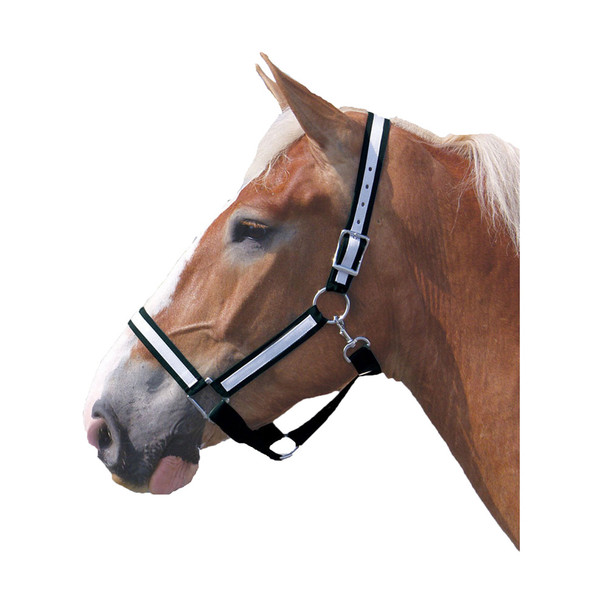 Intrepid International Draft Horse Nylon Halter With Overlay - 1.5" Wide