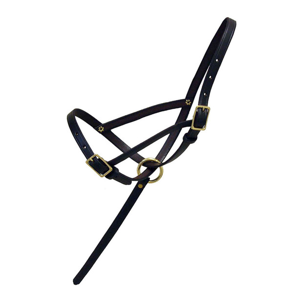 product variation INTREPID INTERNATIONAL Leather Foal Slip Halter with Grap Strap (H410) image