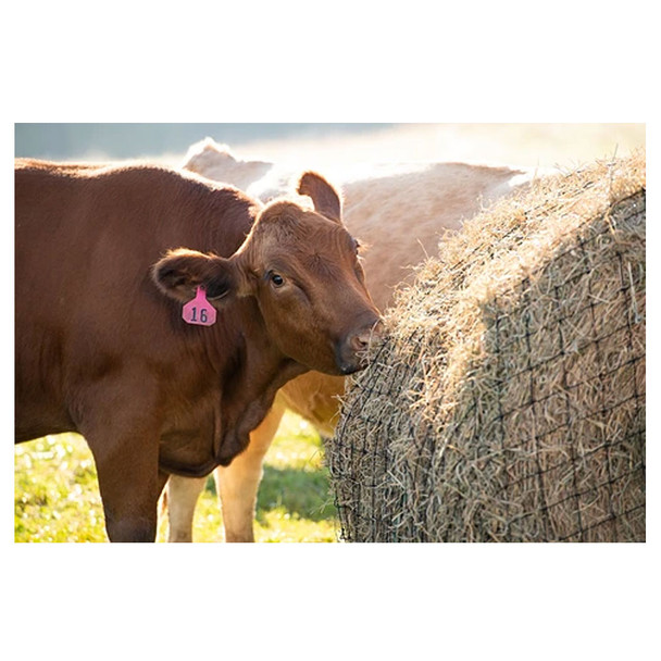 INTREPID INTERNATIONAL Texas Haynet Livestock Round Bale Hay Net (TXHNLS14)