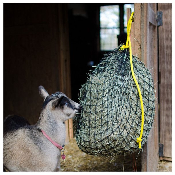 INTREPID INTERNATIONAL Texas Haynet Small Hay Net (TXHNS003)