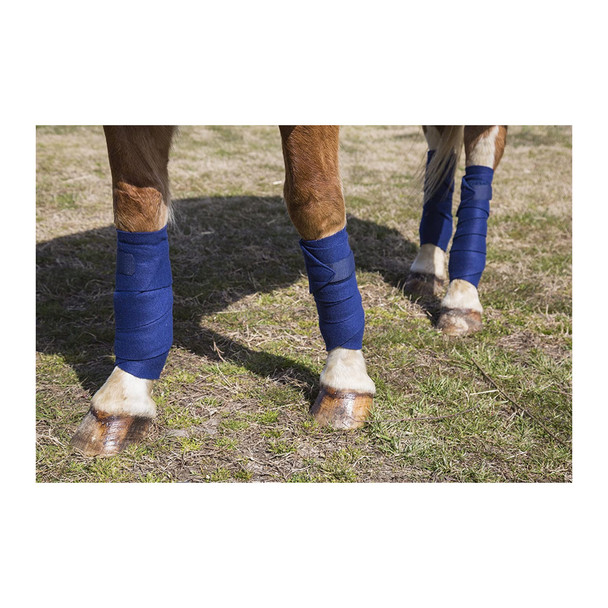 product variation Blue image