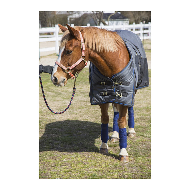 product variation Blue image