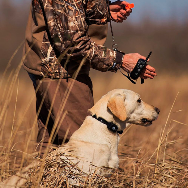 product variation DT SYSTEMS RAPT 1400 Remote Dog Trainer (RAPT1400) image