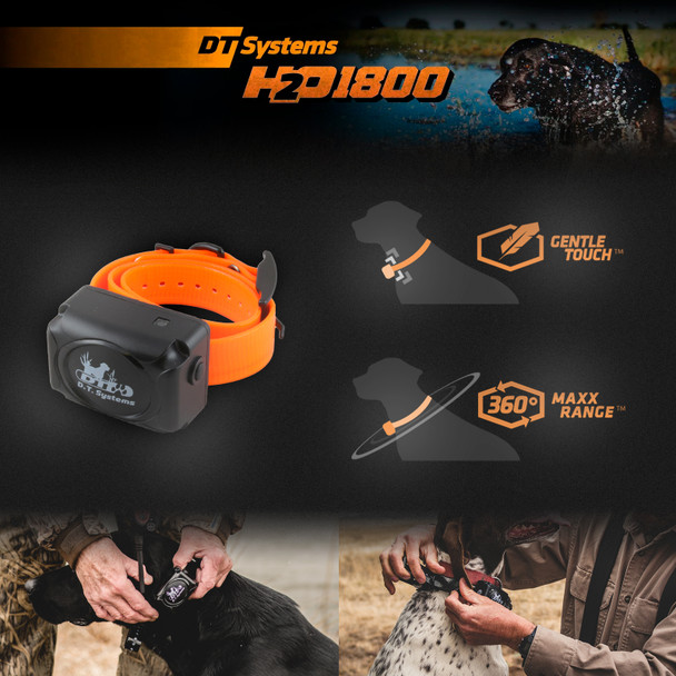 product variation Orange image