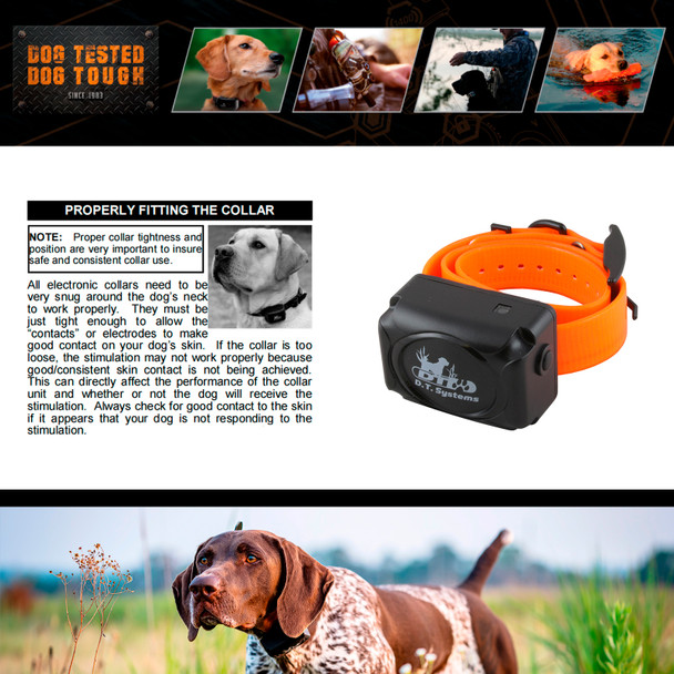 product variation Orange image